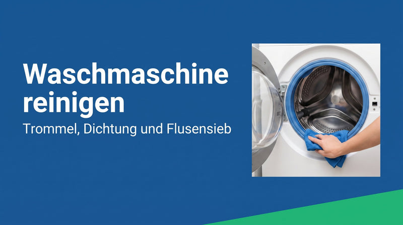 Waschmaschine reinigen: Trommel, Dichtung, Fach und Flusensieb in Ordnung halten