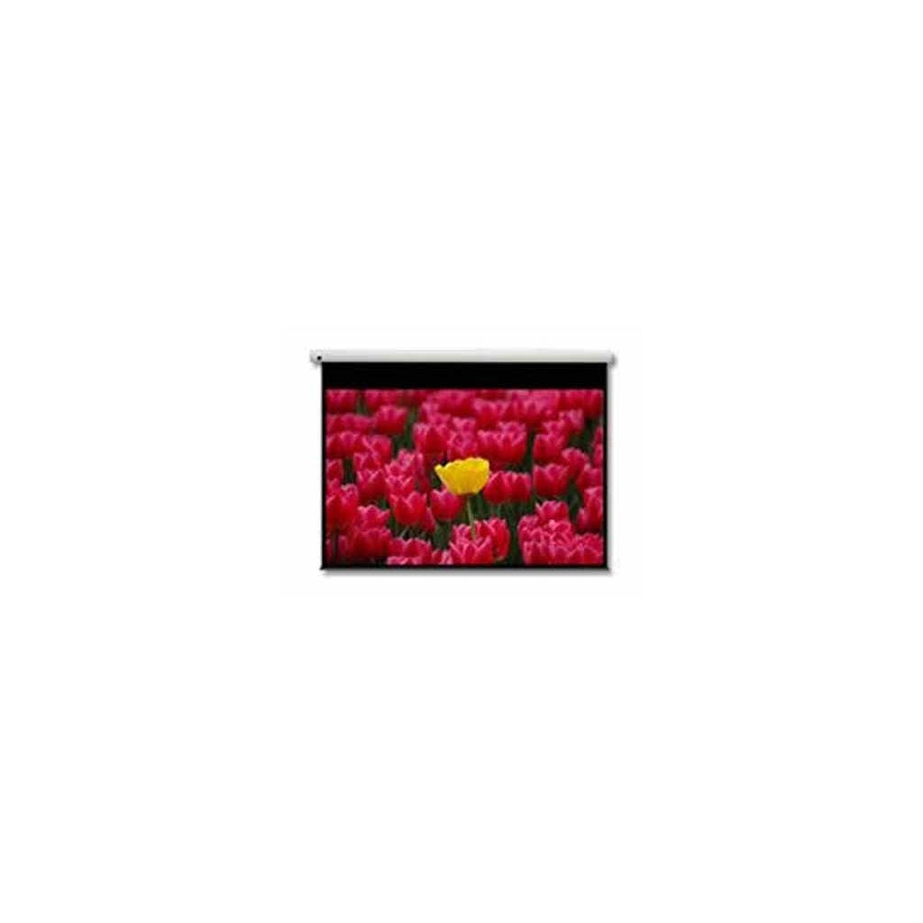 Projektionsleinwände