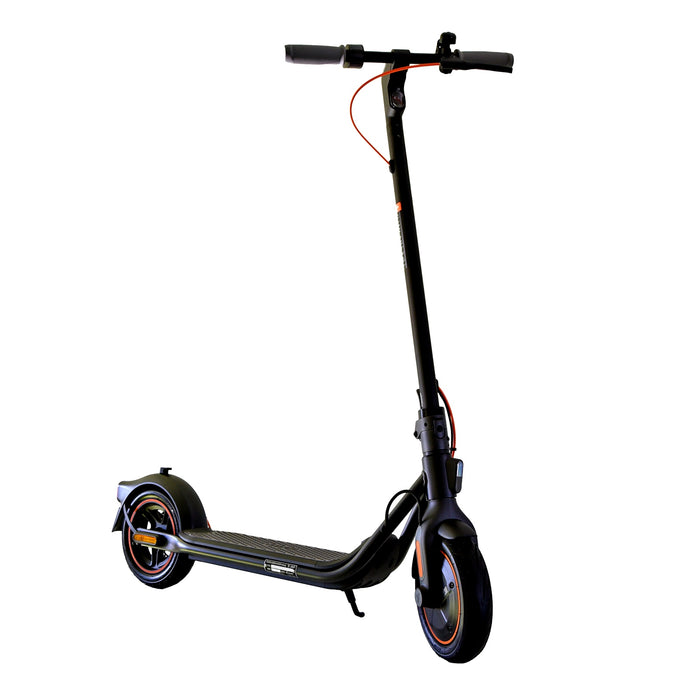 Ninebot KickScooter F40D Powered by Segway in grau E-Scooter mit Straßenzulassung