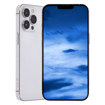 iPhone 13 Pro 256GB Silber