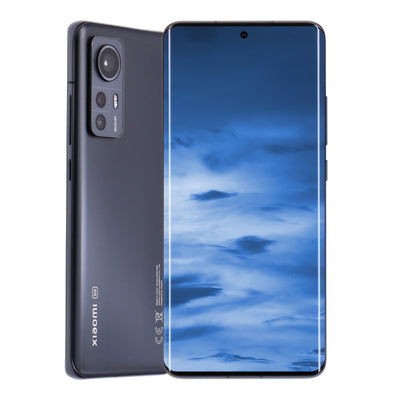 12 5G Dual-SIM 128GB Grau