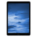 Apple iPad 9 10,2" WiFi 64GB Spacegrau (2021)