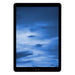 Apple iPad 9 10,2" WiFi 64GB Spacegrau (2021)