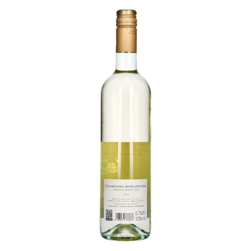 Produktbild Weißwein - Vinicola Tombacco Falanghina trocken 1 x 0,75 L