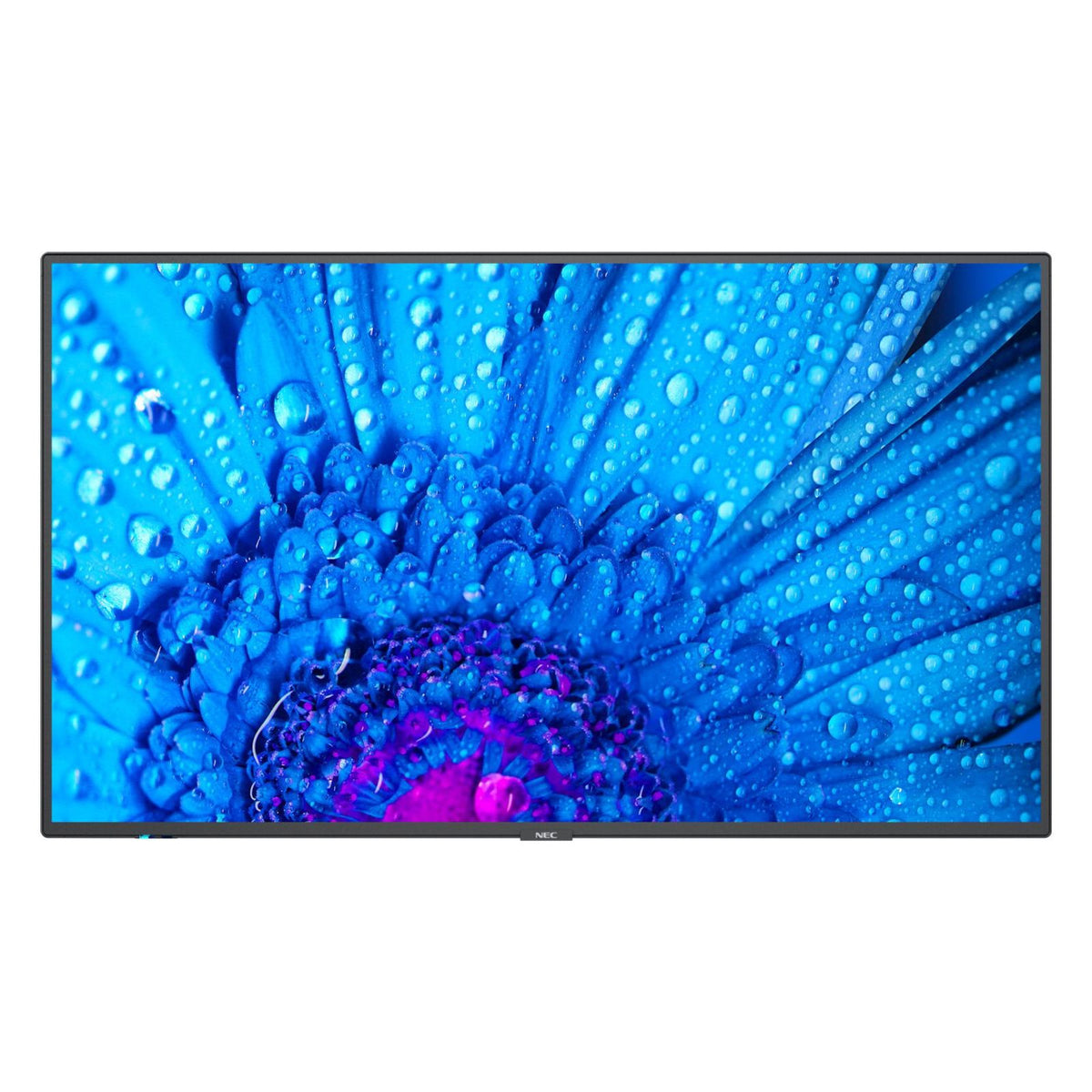 Produktbild LED-Monitor - NEC MultiSync M491 49 Zoll Display UHD