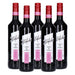Blanchet Rouge de France Trocken 5 x 0,75 L