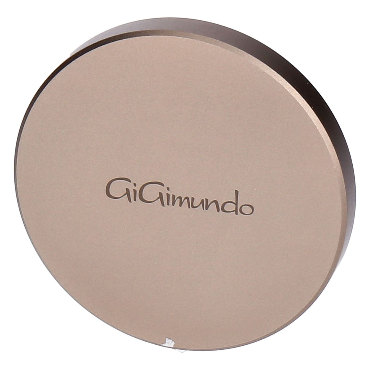 Produktbild Portable SSD - GiGimundo GQ20 Ultra-Slim Magnetic SSD 1TB