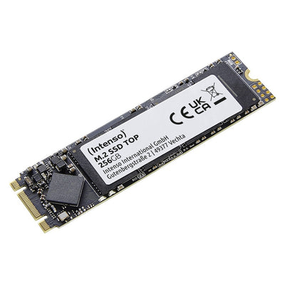 Top M.2 256 GB Serial ATA III