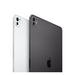 Apple iPad Pro (7th Generation) 256GB Schwarz
