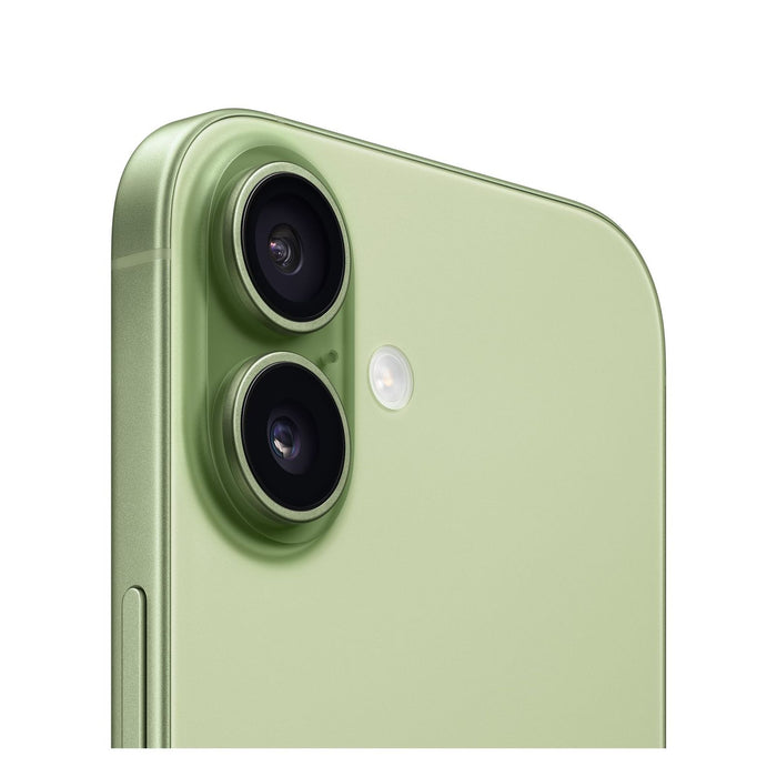 Apple iPhone 17 256GB Salbei