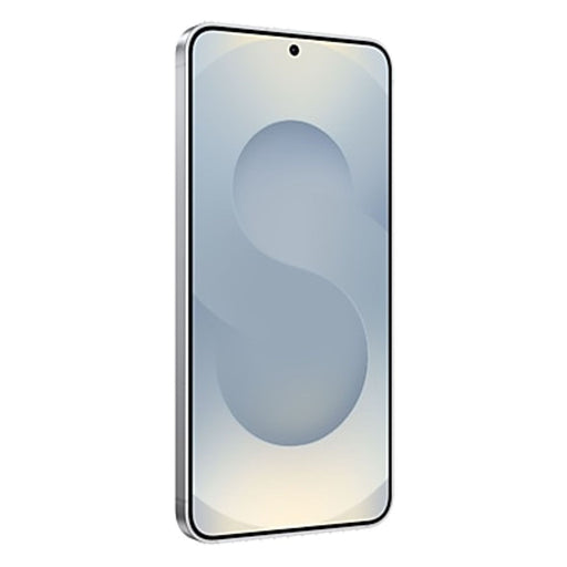 Produktbild Smartphone - Samsung Galaxy S25 Enterprise Edition 5G Dual-SIM 256GB Silver Shadow