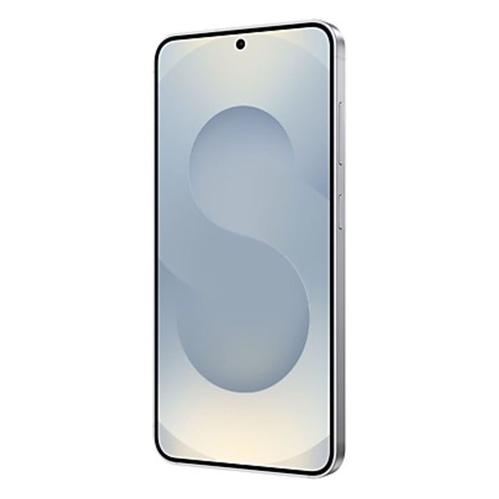 Samsung Galaxy S25 Enterprise Edition 5G Dual-SIM 256GB Silver Shadow
